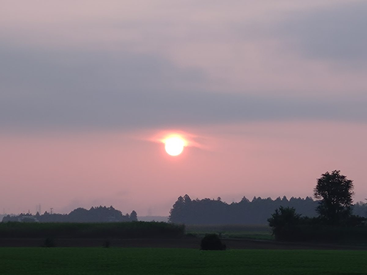 20250826_052118