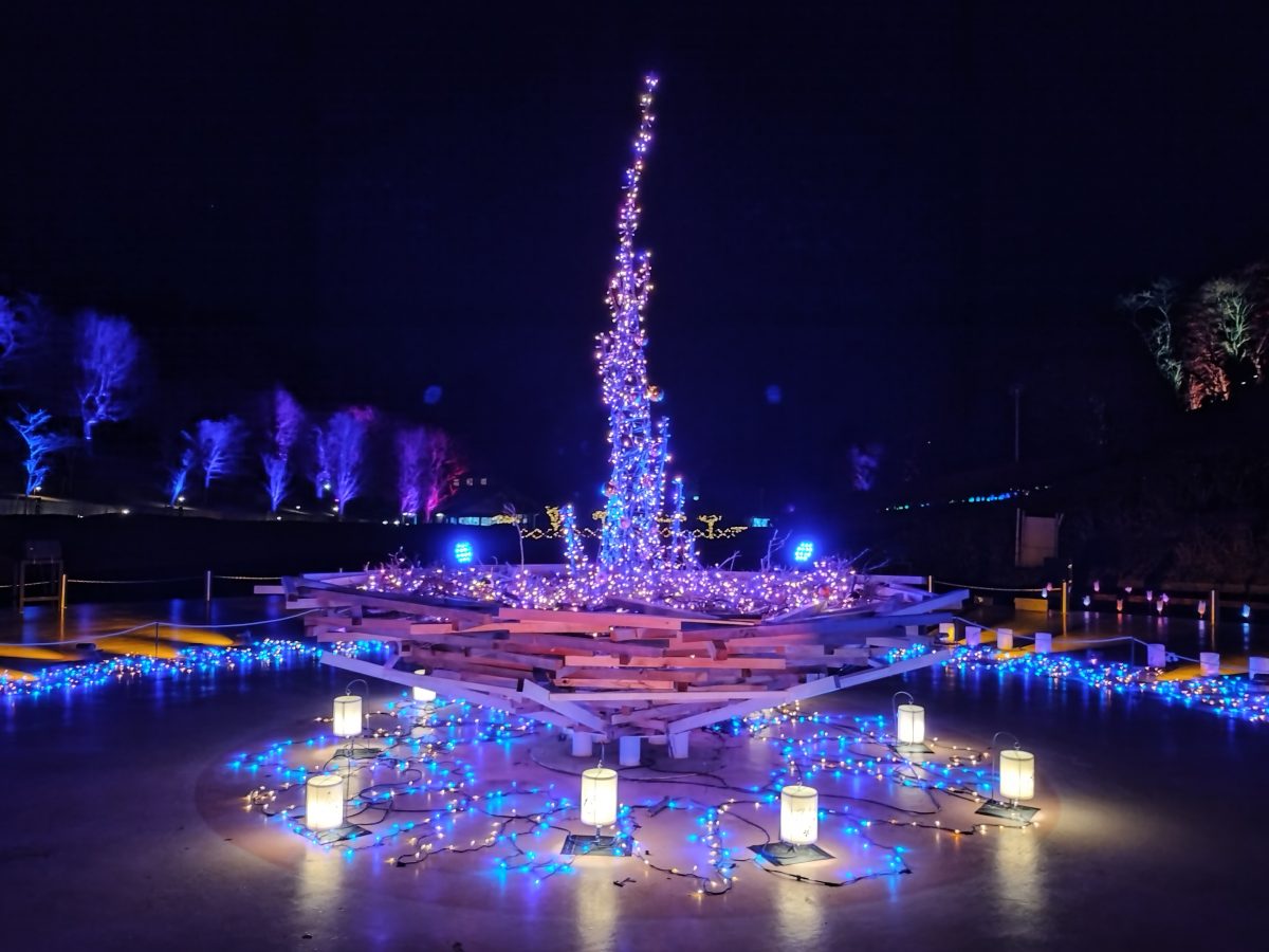 イルミ紫タワー(上)