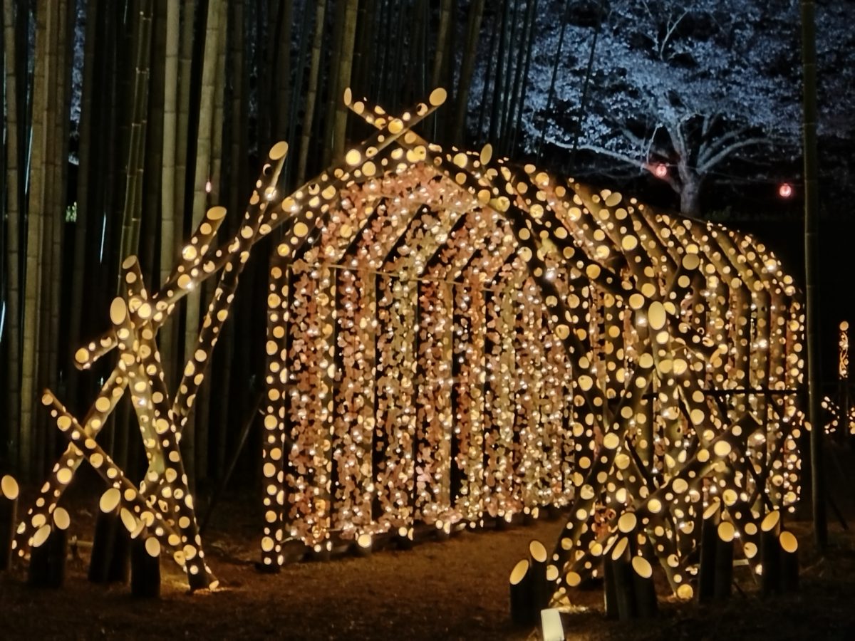 トンネル(ボケて)