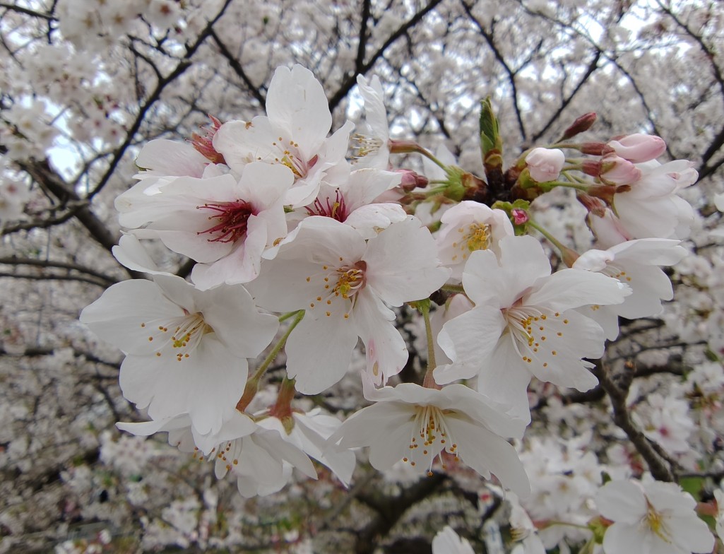 Screenshot_20260408-140120~2