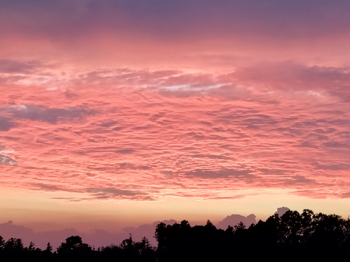 火曜の夕焼け