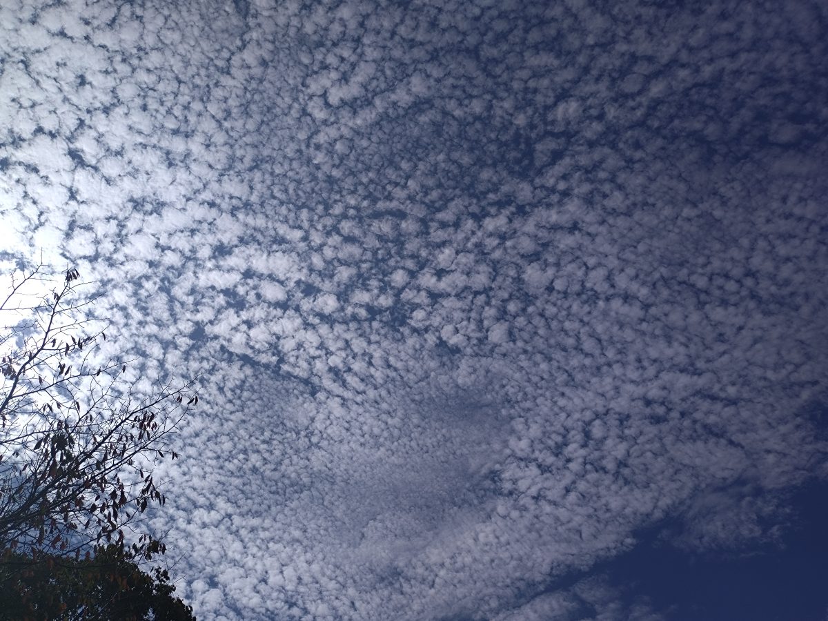 秋の雲
